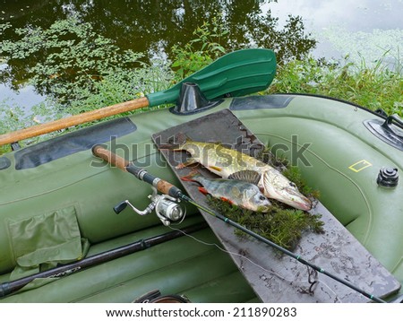 Pike and perch in the boat with spinning rod. Fishing theme.