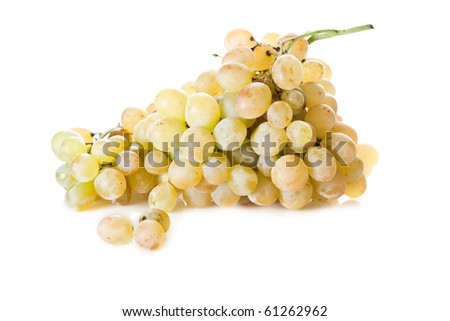 fresh cut green grape bunch isolated on white
