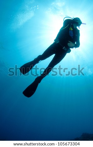 shilouetted scuba divers swim in the deep blue ocean