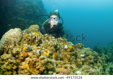 young female scuba diver swimming over reef