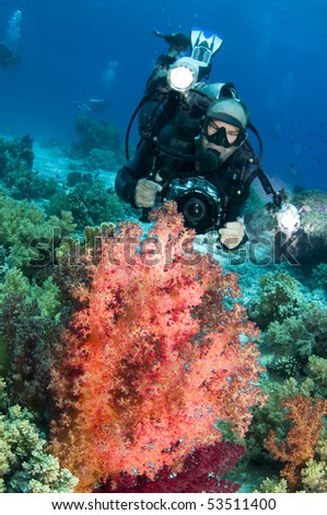 underwater photographer behind red coral in the red sea