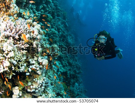 female scuba diver on coral reef