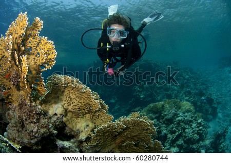 female scuba diver enjoys the buetiful coral