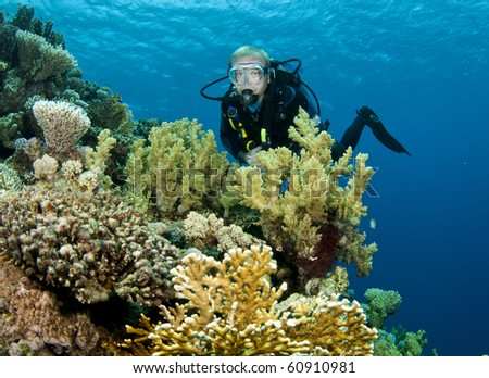 Scuba Diver on tropical reef