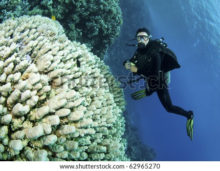 scuba diver swims next to big coral structure
