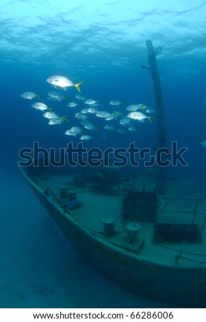 underwater ship wreck with school pf jack fish