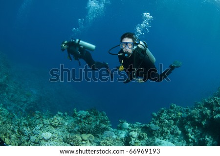 scuba divers scuba dive in ocean and have fun
