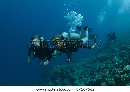 couple scuba dive together hand in hand underwater
