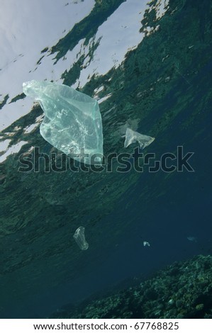 plastic bags floating in ocean, pollution of the sea