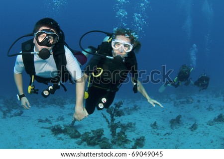 Married Couple Scuba Dive Together Stock Photo 69049045 : Shutterstock