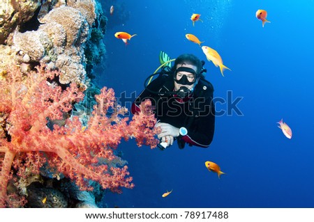 Scuba diver with bright red coral and tropical fish