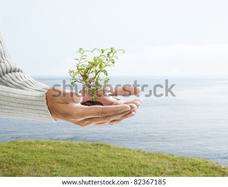 Tree in palm of hand