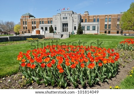 Spring tulips at botanical gardens in Montreal