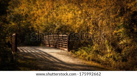 A bridge over a creek along a trail framed with beautiful trees with golden yellow leaves of autumn and highlighted by sunlight.