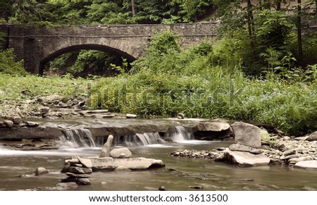 A small  cascade flowing under a stone bridge in Letchworth Park New York. The scene has colorful yellow and blue wild flowers growing on the streams bank.