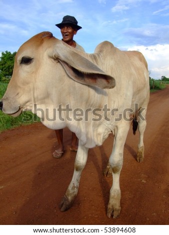 ISSAN, THAILAND - MAY 9: Thai farmer with his cow on a dirt road on May 9, 2007 in Issan.