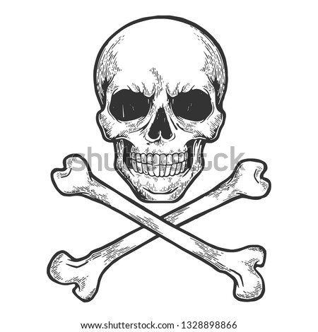 Skull with crossed bones. Pirate symbol Jolly Roger sketch engraving vector illustration. Scratch board style imitation. Hand drawn image.