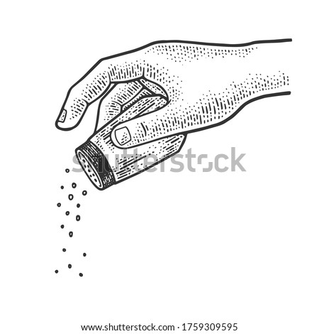 Salt and pepper shaker in hand sketch engraving vector illustration. T-shirt apparel print design. Scratch board imitation. Black and white hand drawn image.