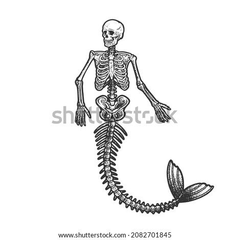 mermaid skeleton sketch engraving vector illustration. T-shirt apparel print design. Scratch board imitation. Black and white hand drawn image.