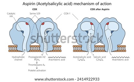 acetylsalicylic acid aspirin mechanism of action diagram hand drawn schematic vector illustration. Medical science educational illustration