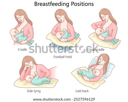 breastfeeding positions, including cradle, football hold, cross-cradle, side-lying, and laid back, for nursing mothers diagram hand drawn vector illustration. Medical science educational illustration