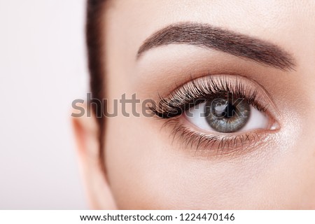 Female Eye with Extreme Long False Eyelashes. Eyelash Extensions. Makeup, Cosmetics, Beauty. Close up, Macro Stockfoto © 