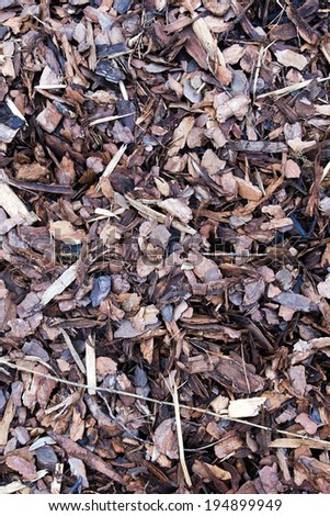 A pile of brown autumn bark Mulch for background