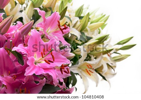 Beautiful summer bunch of flowers. Floral pattern. Lily. White background.