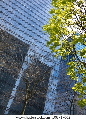 The modern office building. Spring in the city.  The urban scene.
