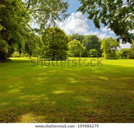 A green lawn in the park summer day. Summer landscape.