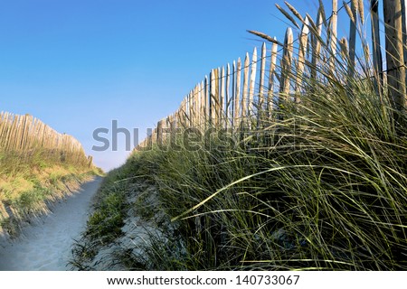 The passage between the dunes. Access to the sea.