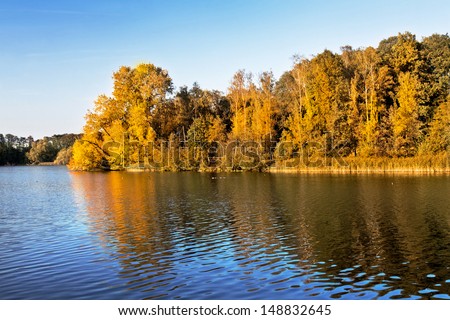 Panorama. Autumn Landscape. Park in Autumn. The bright colors of autumn in the park by the lake.