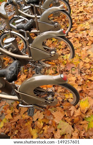 Bikes for rent. Paris in the autumn.