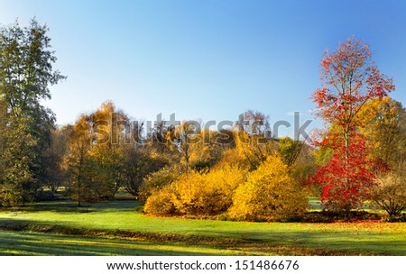 Park in Autumn. The bright colors of autumn trees. Autumn landscape.