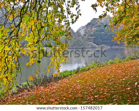 Autumn Landscape. Park in Autumn. The bright colors of autumn in the park by the lake.