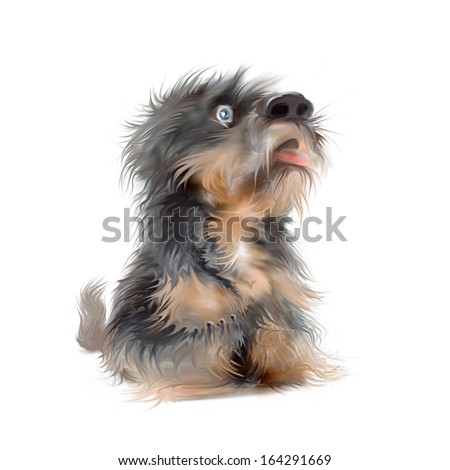Surprised puppy. Drawing puppy.