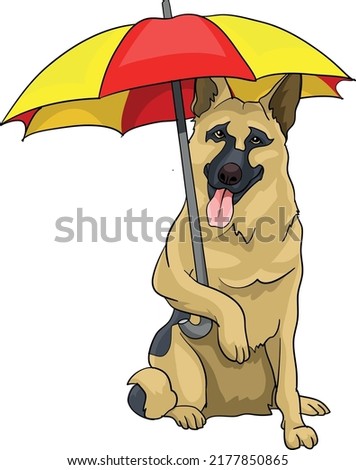 German Shepherd, wolfhound, with umbrella on the beach summer holiday vector illustration dog police lifesaver, lifeguard