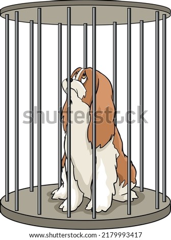 A dog locked in a round cage, waiting for the sentence, doomed