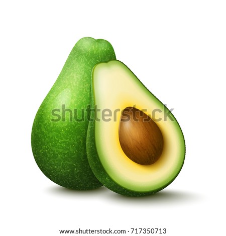 Vector realistic fresh fruit avocado isolated on white background. Whole and cut in half avocado with pit