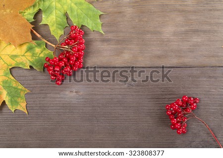 Red viburnum berries and leaves on the dark textured wooden board