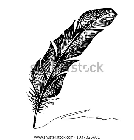 Feather with ink.