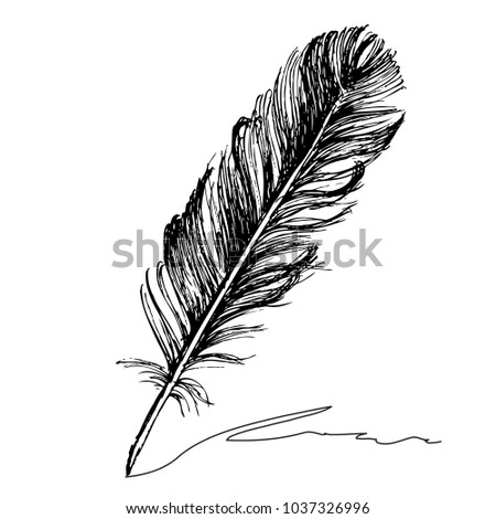 Feather with ink.