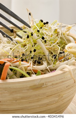Assorted sprouts salad in a wooden bowl. Selective focus.