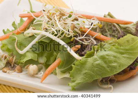 Assorted sprouts salad in a white plate. Selective focus.
