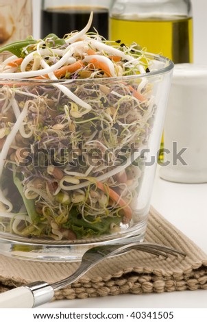 Assorted sprouts salad in a glass. Selective focus.