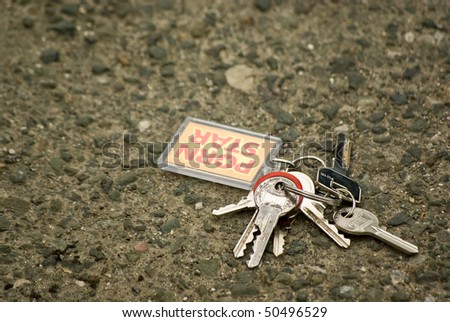 lost bunch of keys on the road
