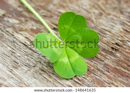 Four leafs clover on wooden surface