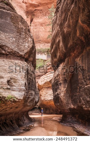 A person stands in a slot canyon in the Utah wilderness