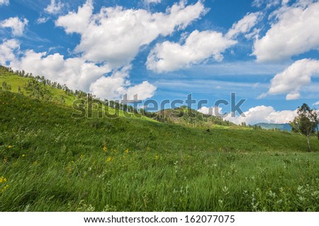 Landscape with mountains, flowers and green grass in the meadows, blue sky and clouds.