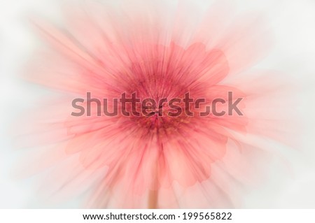 Delicate pink blurred floral background, shot with zoom effect